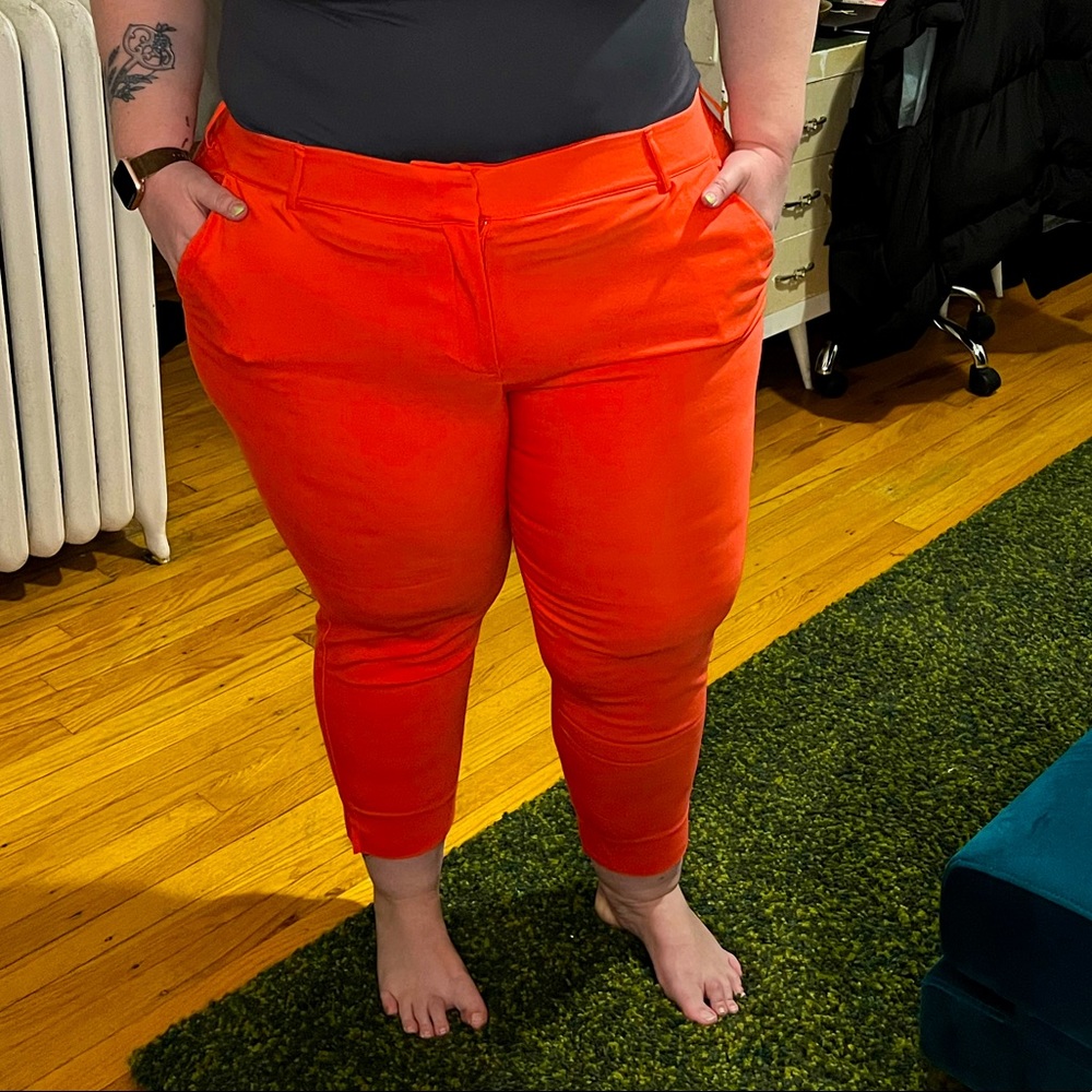 Bright Orange Trouser by Lane Bryant